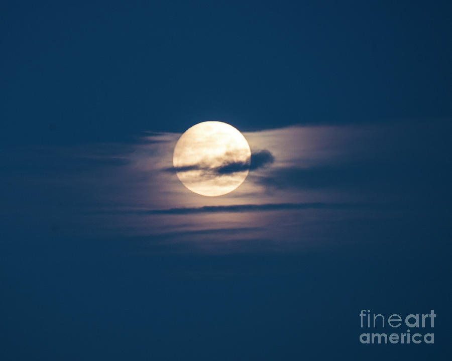 Full Moon February Photograph by Steven Natanson