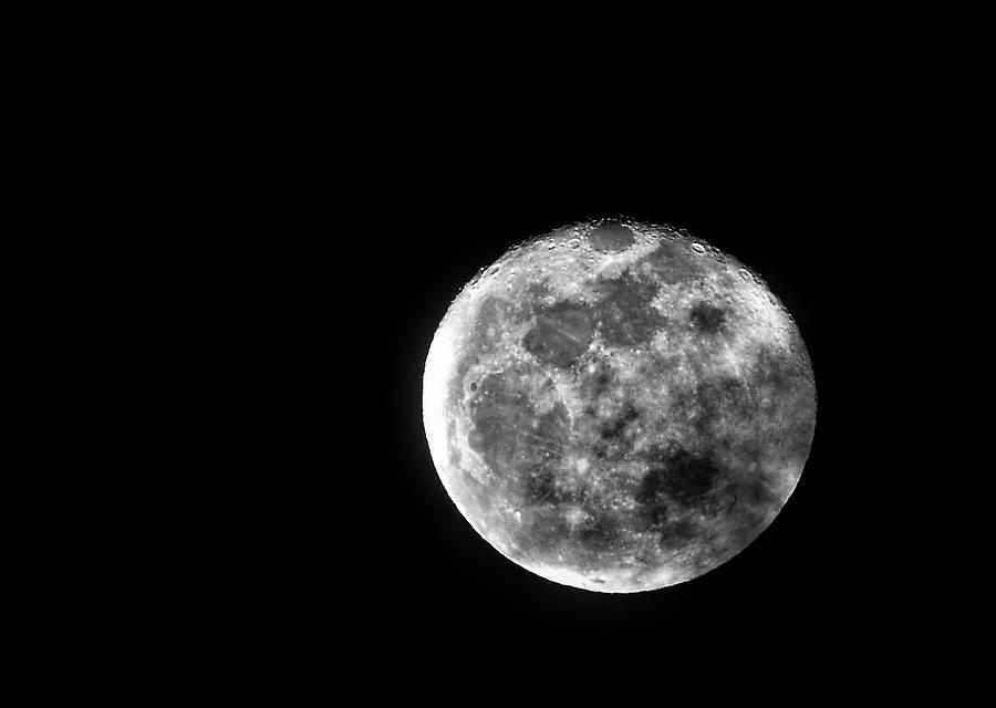 Full Moon Fever Photograph by Heidi Fickinger