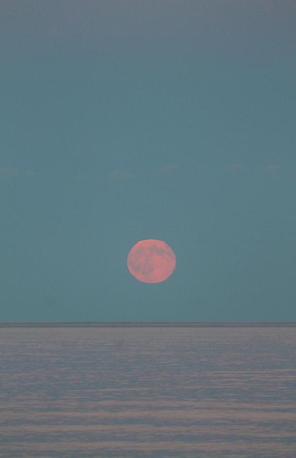 Full Moon from Long Sands Beach Maine 2 Photograph by Michael Saunders
