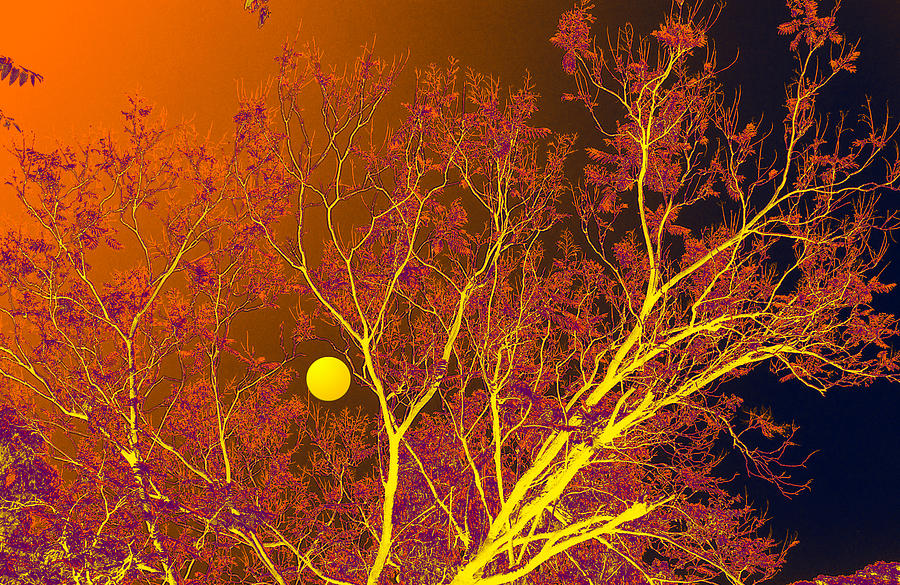 Nature Digital Art - Full Moon Glow by Bliss Of Art