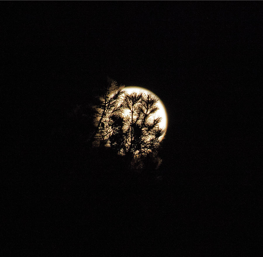 Full Moon Photograph