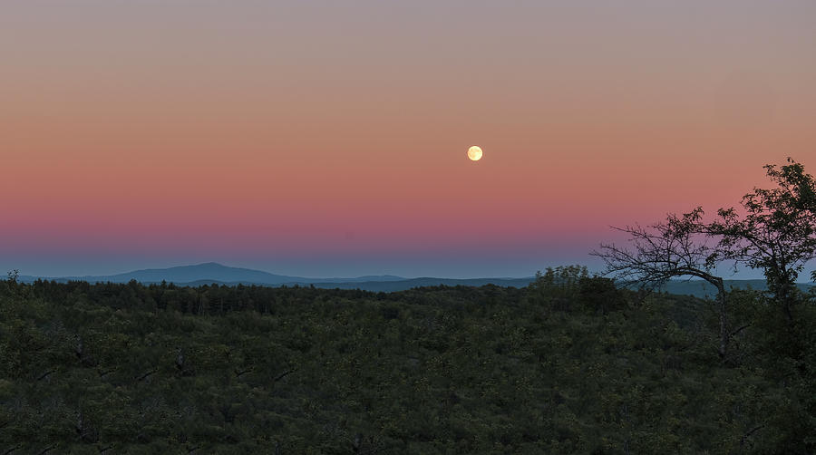 Full Moon Horizon Photograph by Tom Singleton