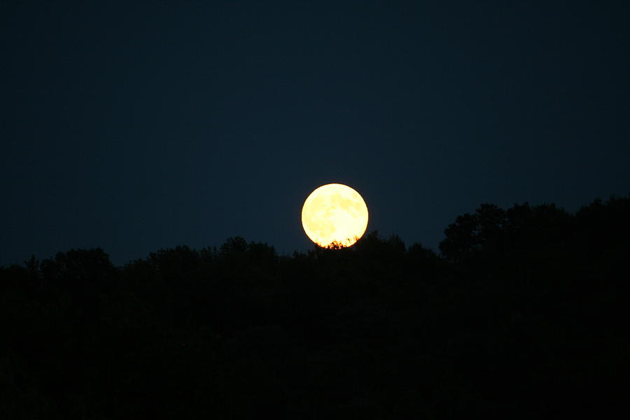 Full Moon in a Black Sky Photograph by Aggy Duveen