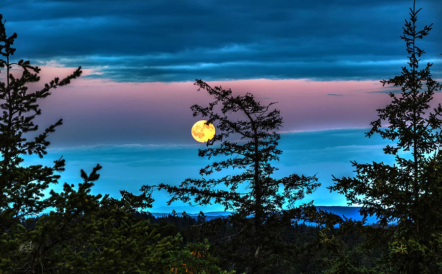 Full Moon in July Photograph by Thomas Ashcraft