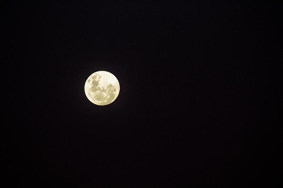 Full Moon - Jan 2018 Photograph by Tania Read