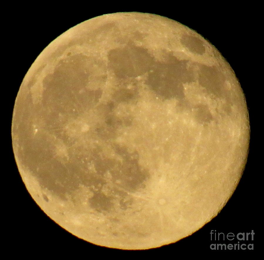 Full Moon Photograph by Joshua Bales