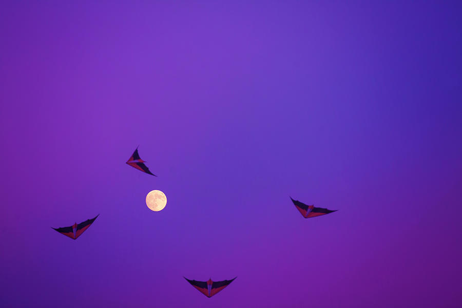Full Moon Kite Dance Photograph by Toni Hopper