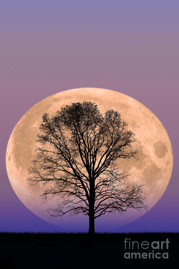Full Moon Photograph by Larry Landolfi