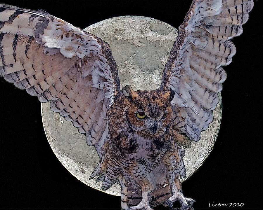 Full Moon Digital Art by Larry Linton