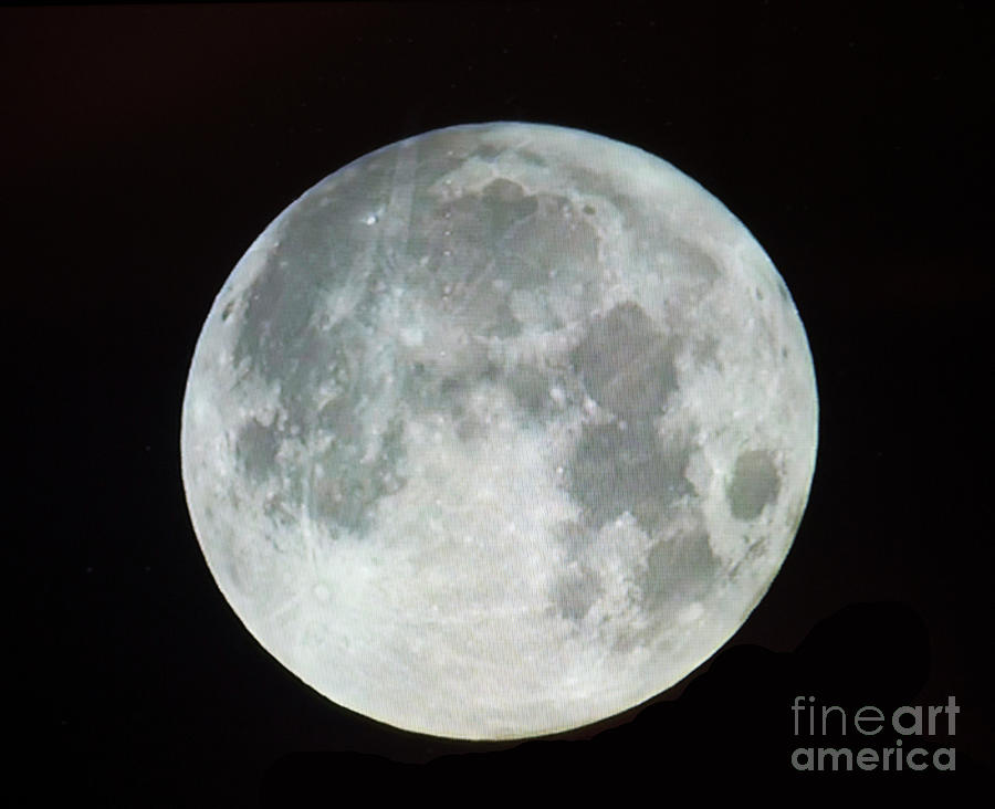 Full Moon Photograph by Linda Phelps