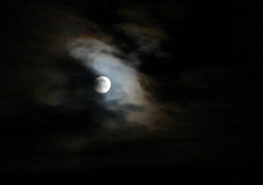 Full Moon Photograph by Marilynne Bull