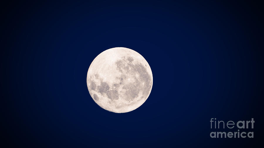 Full Moon Night Blues Photograph by Robert Knight