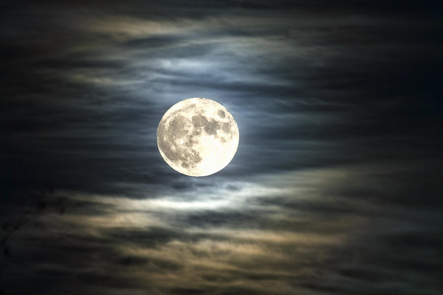 Full Moon Of 11/25/2015 Photograph by Gary Larson