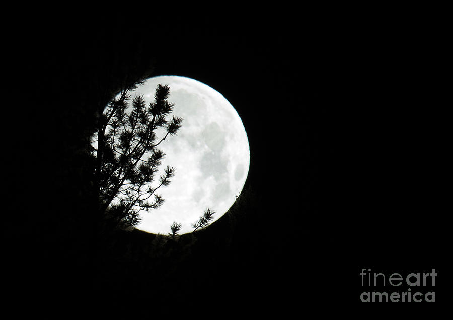 Full Moon on La Veta Pass Photograph by Jim Garrison