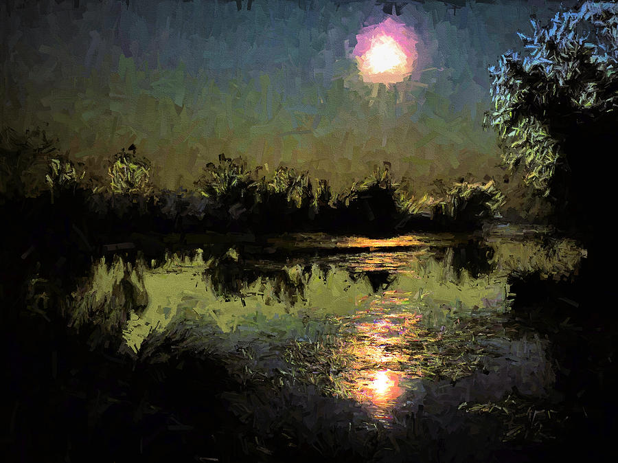 Full Moon on the Bayou Photograph by JC Findley