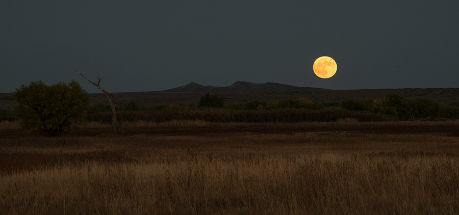 Full Moon Over Bosque Del Apache Photograph by Loree Johnson