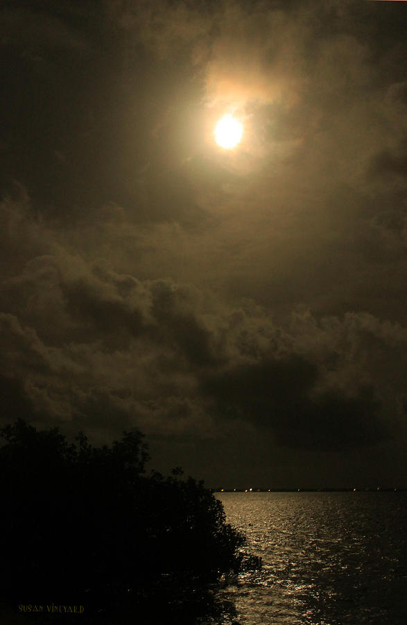 Full Moon Over Cudjoe Key Photograph by Susan Vineyard