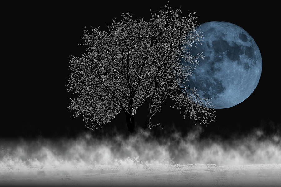Full moon over iced tree Digital Art by Wolfgang Stocker
