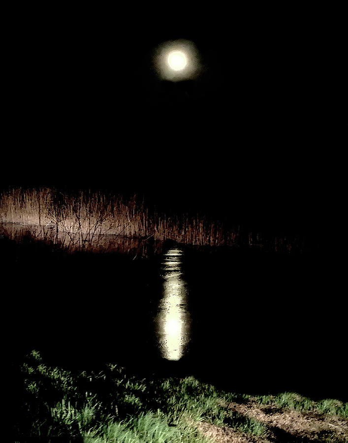 Full Moon Photograph - Full Moon Over Piermont Creek by Roger Bester