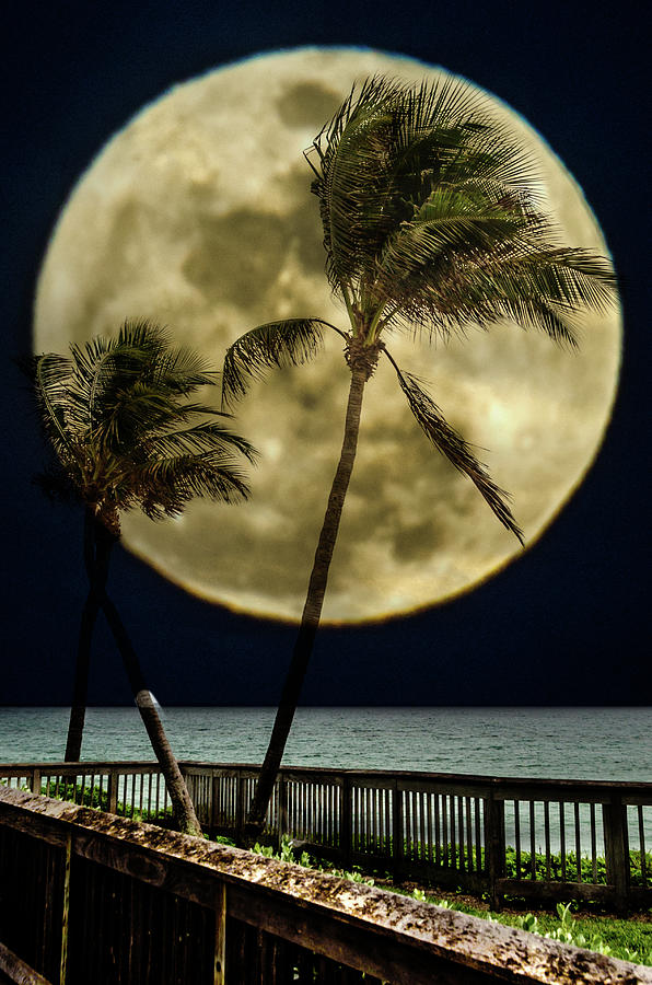 Full moon over the ocean Photograph by Wolfgang Stocker