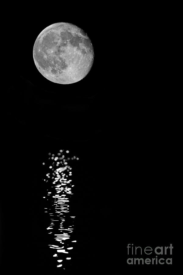 Full Moon Reflections Photograph by Jemmy Archer
