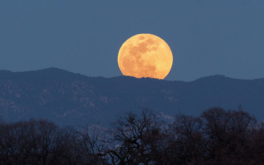 Full Moon Rise Photograph by Benson Ricks Fine Art America