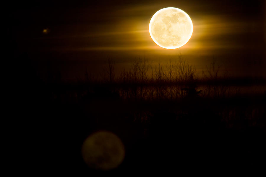 Full Moon Rise Photograph by David Naman Fine Art America