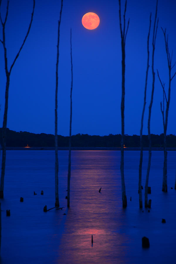 Full Moon Rises 2 Photograph by Raymond Salani III