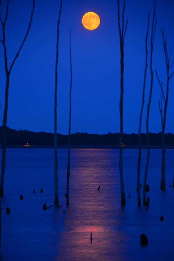Full Moon Rises Photograph by Raymond Salani III