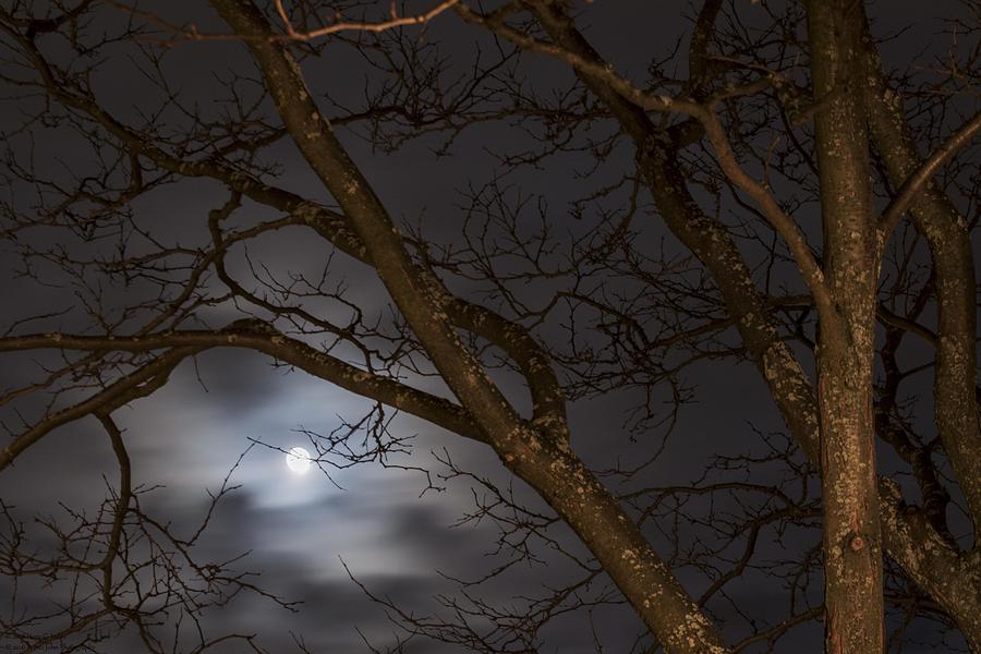 Full Moon Rising - 1  Photograph by Hany J