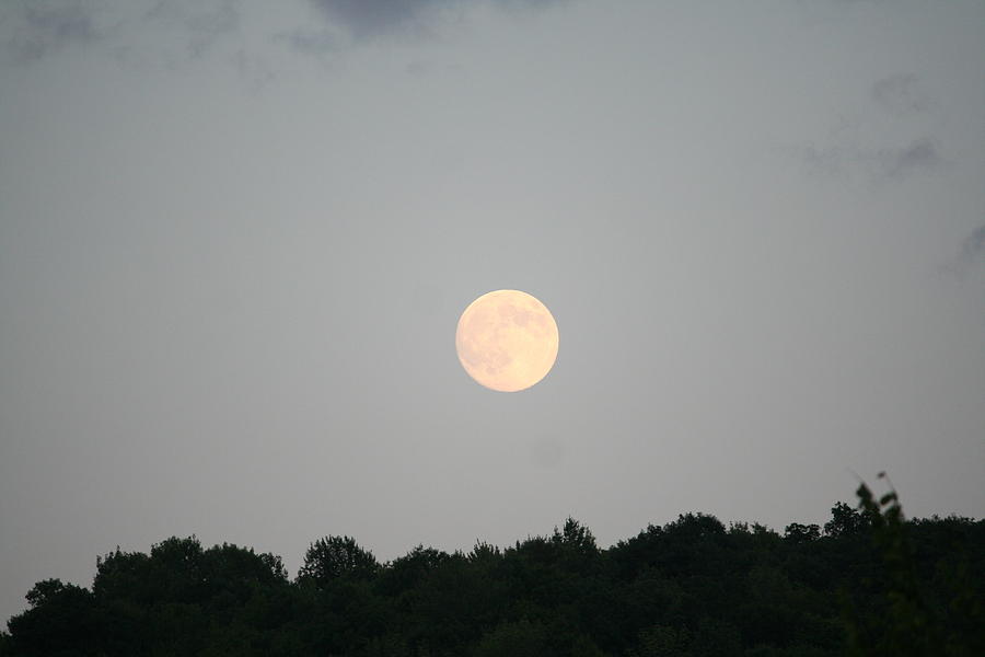 Full Moon Rising 2 Photograph by Aggy Duveen