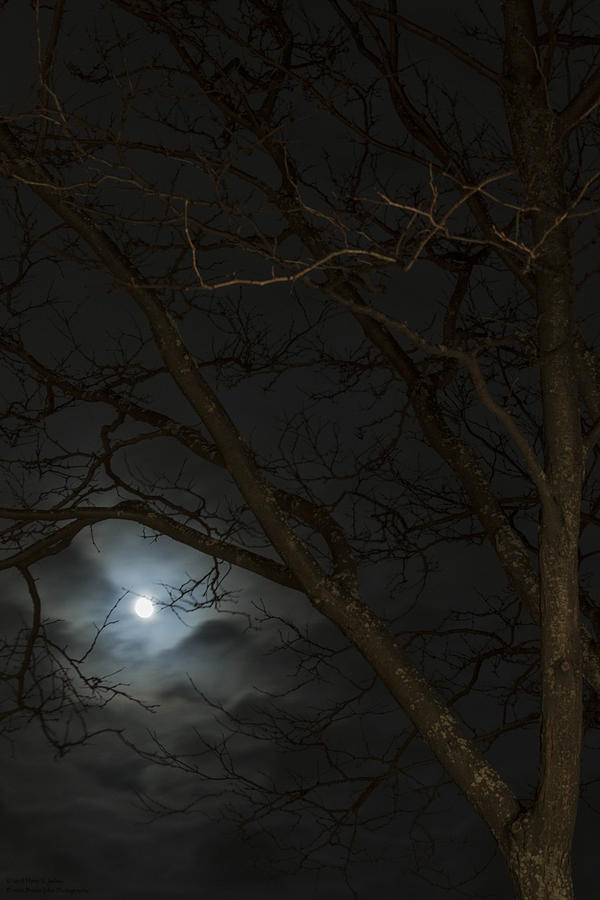 Full Moon Photograph - Full Moon Rising - 2 by Hany J