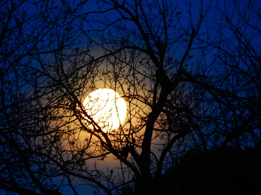 Full Moon Rising 2 Photograph by Virginia White