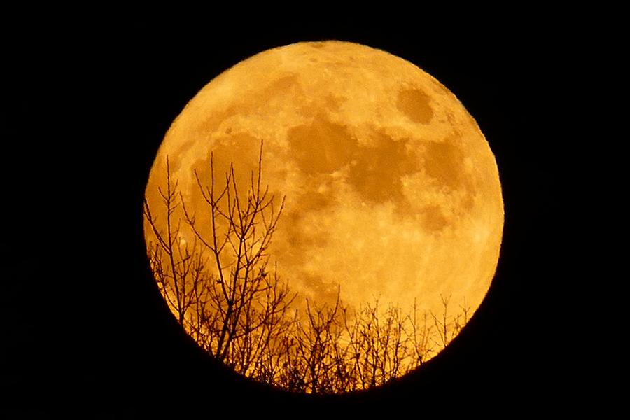 Full Moon Rising 3 Fotografie od Debbie Storie