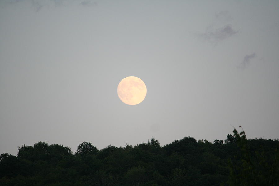 Full Moon Rising Photograph by Aggy Duveen