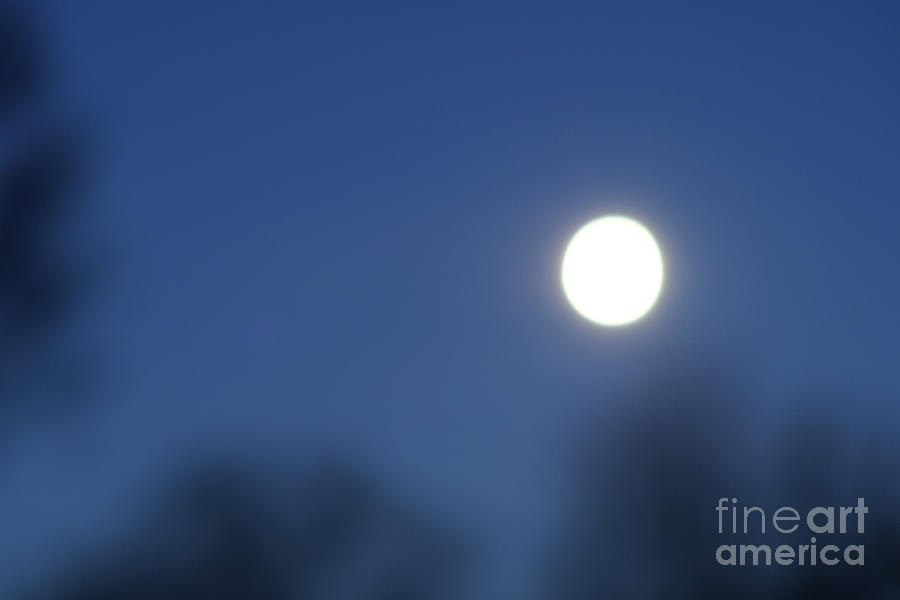 Full Moon Rising Photograph by Ann Horn