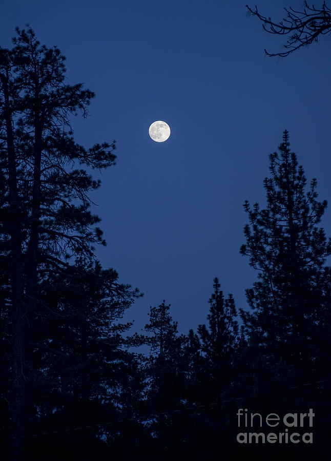 Full Moon Rising Photograph by Eddie Yerkish