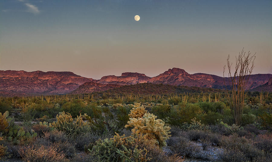 Full Moon Rising in the Desert Photograph by Saija Lehtonen