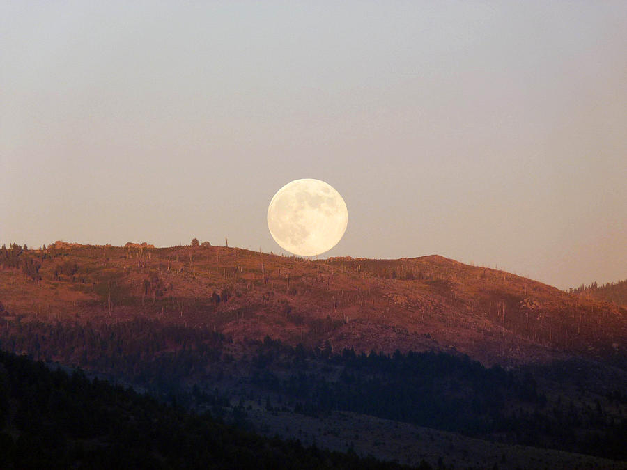 Full Moon Rising in the Sierra Photograph by Andrea Freeman | Fine Art ...