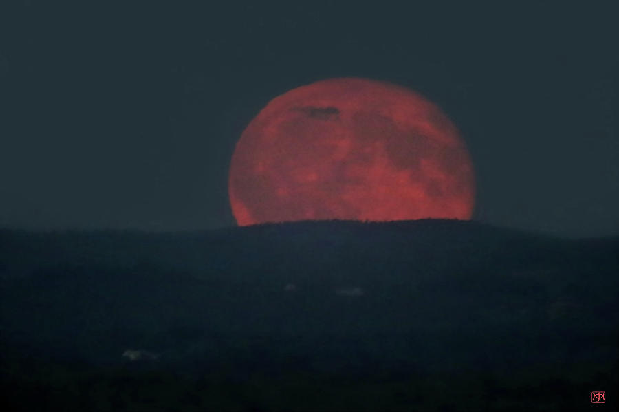 Full Moon Rising Photograph by John Meader