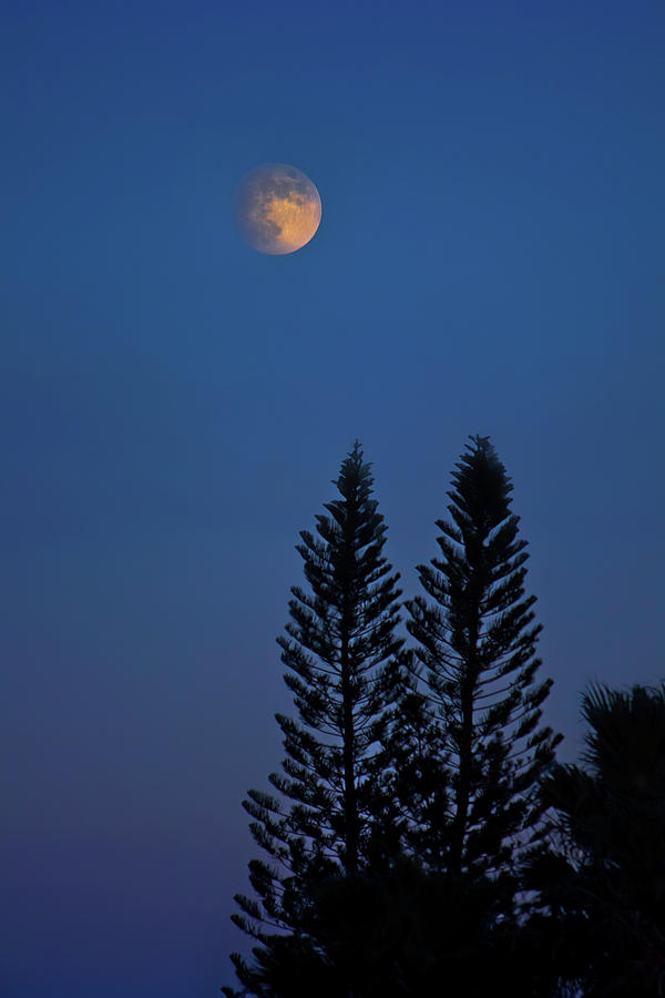 Full Moon Rising Photograph by Mark Andrew Thomas