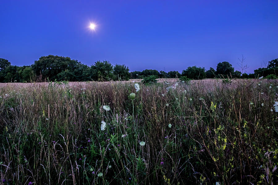 Full moon rising over the Prairie Photograph by Sven Brogren