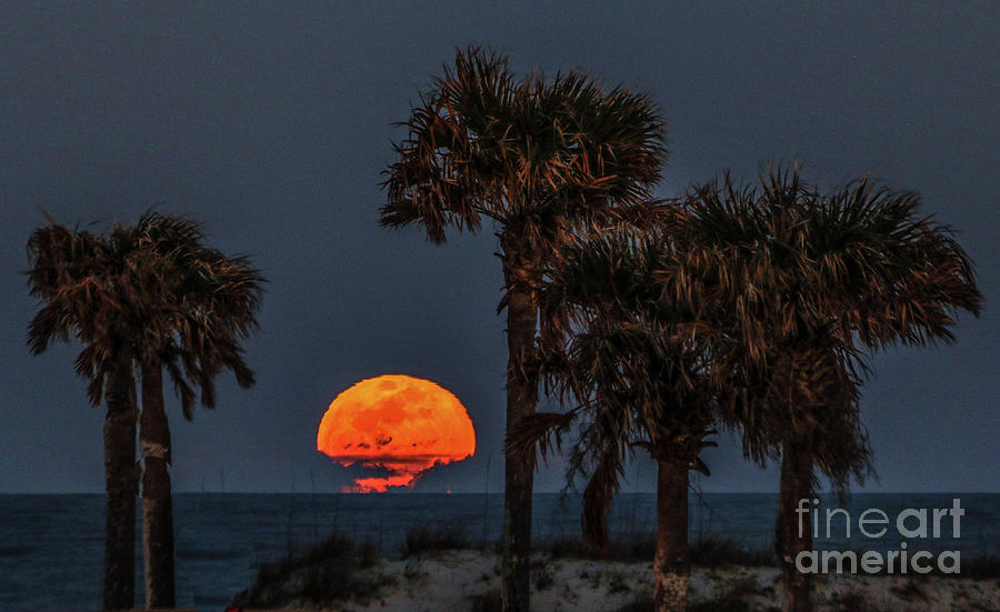 Full Moon Rising Photograph by Scott Moore
