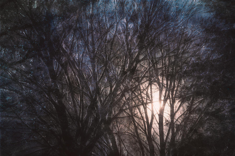 Full Moon Rising Photograph by Scott Norris