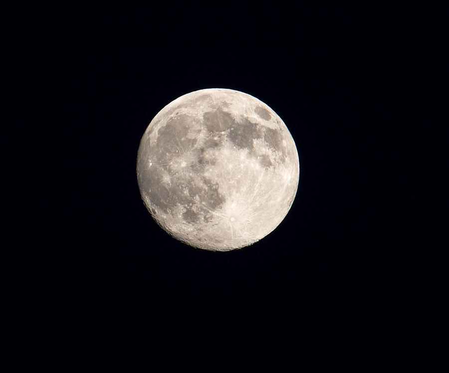 Full Moon Photograph by Roy Pedersen