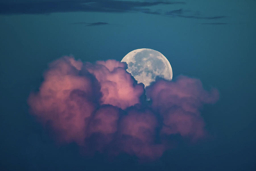 Full Moon Setting Behind Pink Clouds Photograph by Artful Imagery
