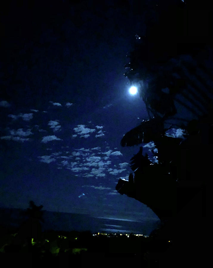 Full Moon Silhouette Photograph by Karen Nicholson