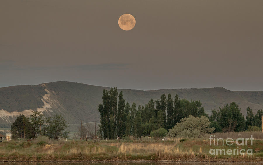 Nature Photograph - Full Moon Setting by Robert Bales