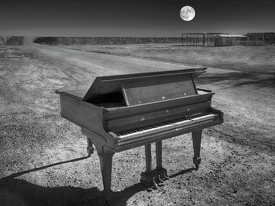 Full Moon Sonata Photograph by Dominic Piperata
