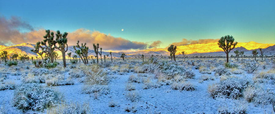 Full Moon Sunrise Snow in Desert Photograph by Connie Cooper-Edwards